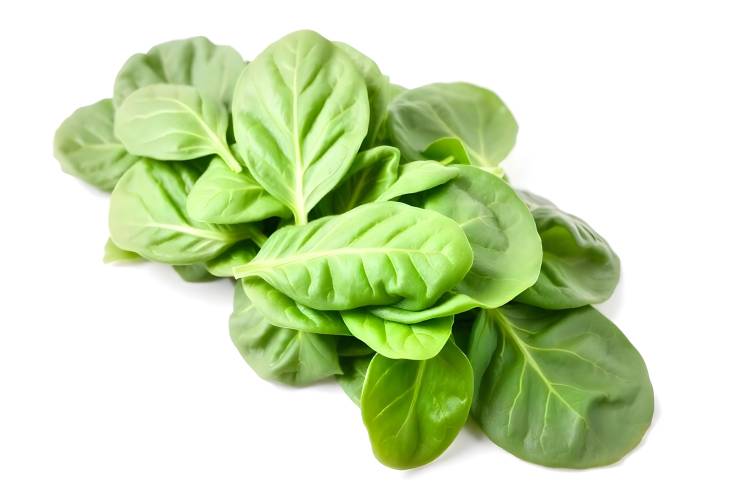 Spinach Leaves A Delicious and Healthy Choice